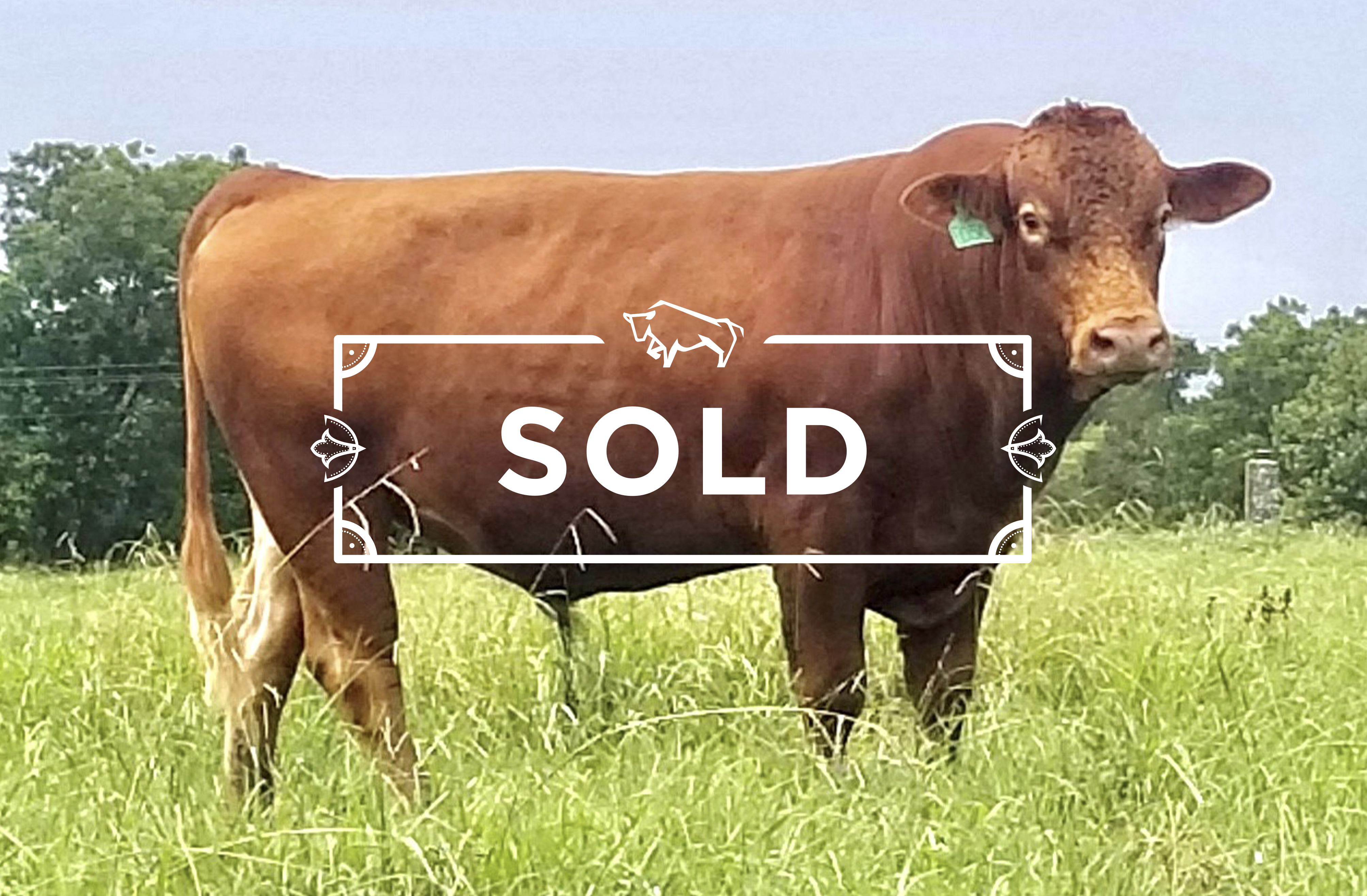 RTE050SOLD